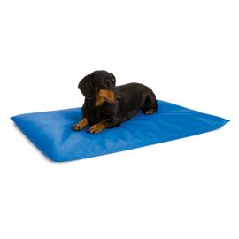 Cool Bed III Thermoregulating Pet Bed (Color: Blue, size: small)