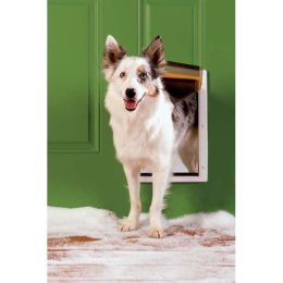Extreme Weather Pet Door (Color: White, size: medium)